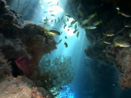 Water Life – Wasser – Die Wiege des Lebens – Wasserwelten
